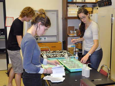 Phytometer 2 Sow Out at CofC - November 2011